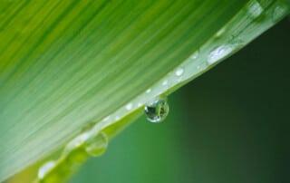 purificazione acqua