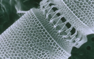 nanotubo al microscopio nanotecnologia