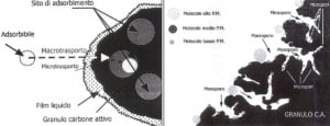 schematizzazione adsorbimento carbone attivo