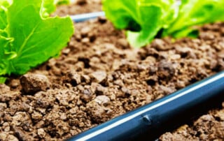 tubo irrigazione a goccia in materiale plastico